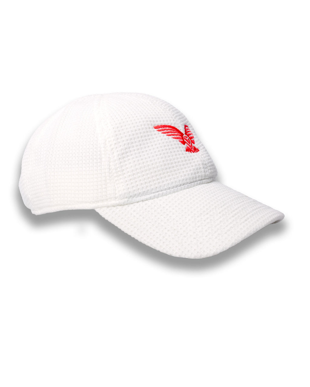 Casquette DFCO Nike Premium